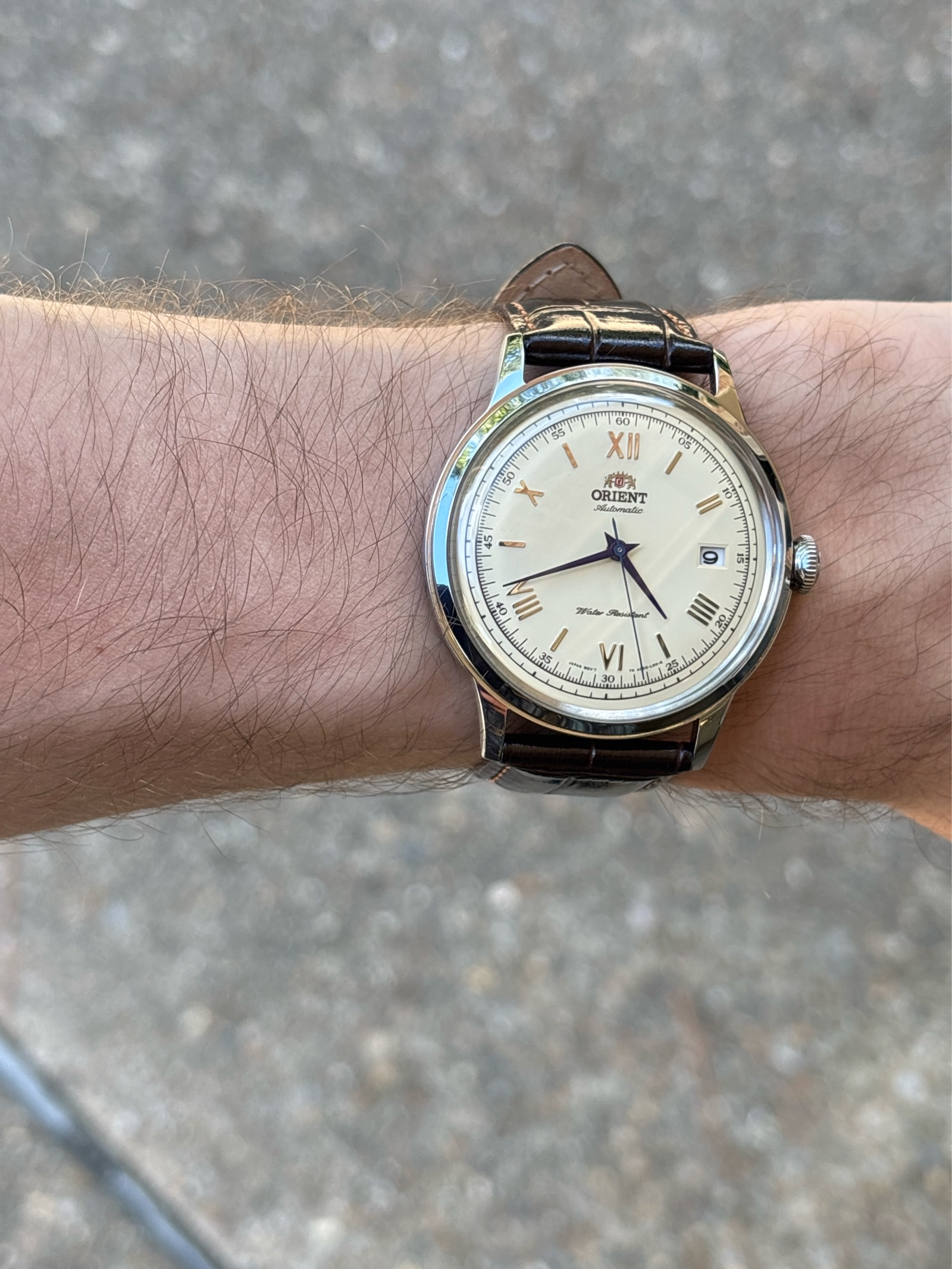 Orient bambino fac00009n0 clearance